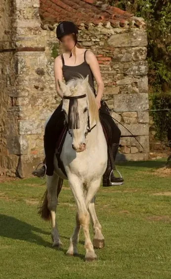 Özlem, 27